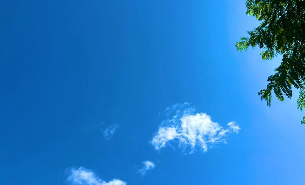 扁桃摘出手術と入院生活。その実態とは？